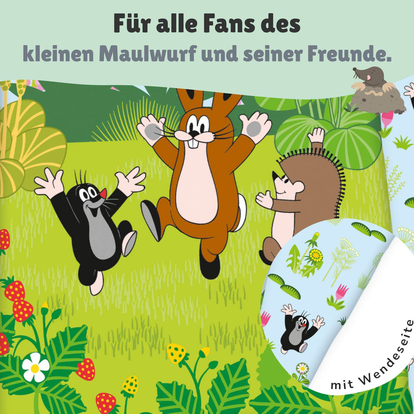 Größe und Lieferumfang 100x135 cm + 40x60 cm Kissen 2 teiliges Sets