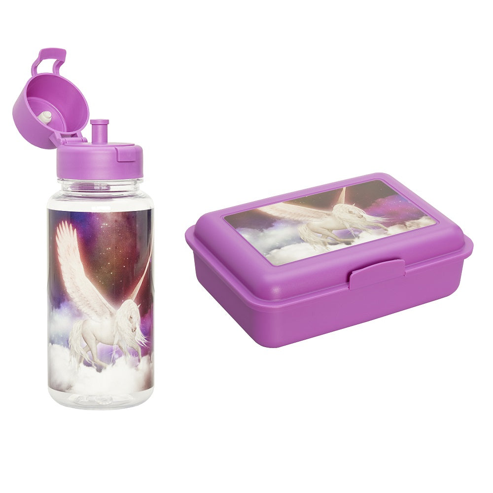 Pegasus Zubehör Brotdose und Trinkflasche im Set