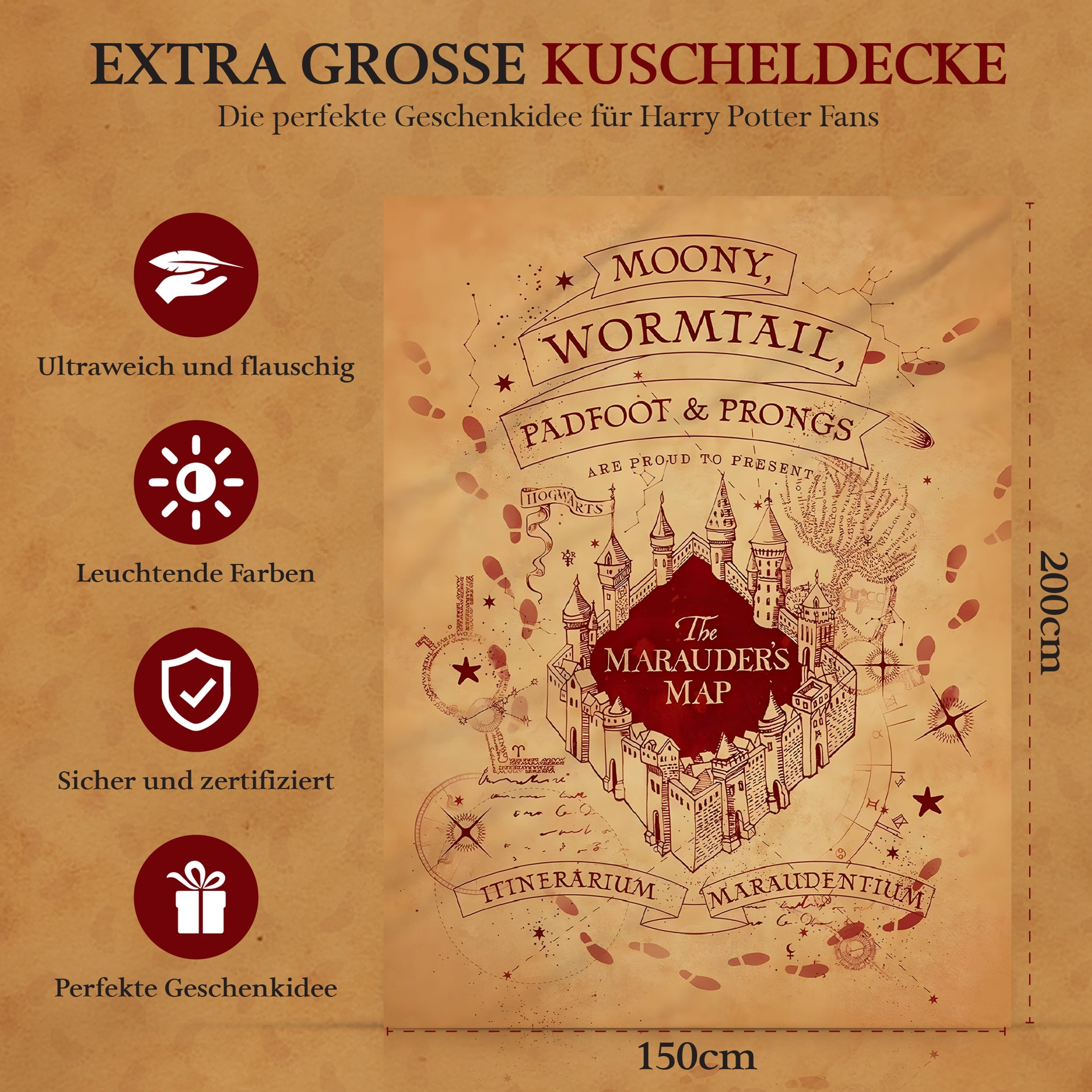 Infotafel Pflege der Decke